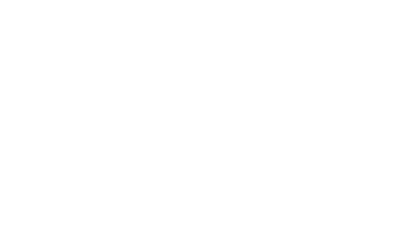 Germand Design Award Sepcial 2024 Logo